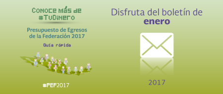 Boletn Enero