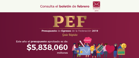 Boletn Febrero 2019